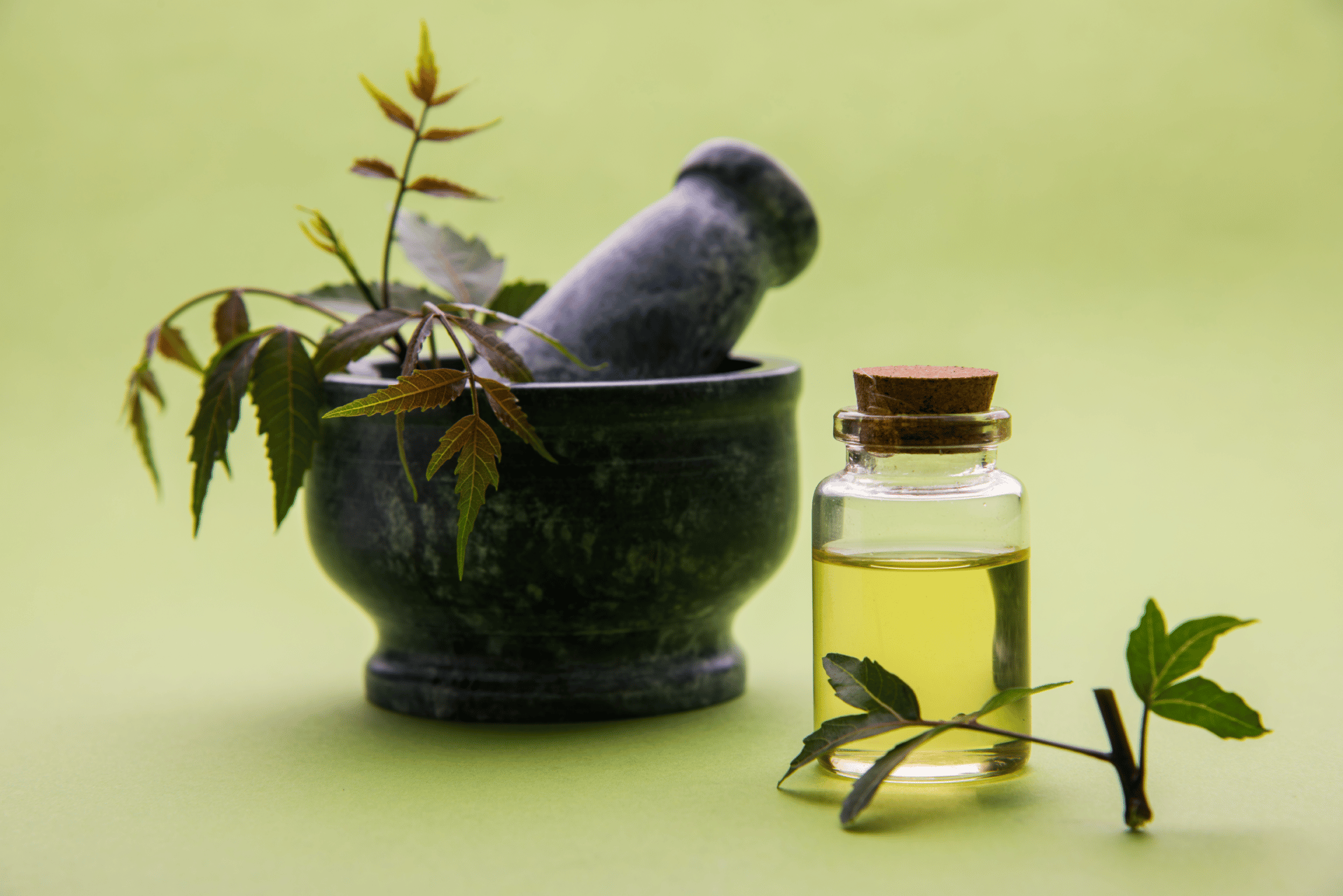 Oxxigena - Olio di neem: a cosa serve?